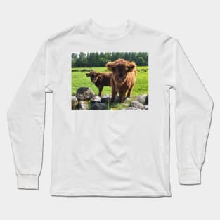 Scottish Highland Cattle Calves 1768 Long Sleeve T-Shirt